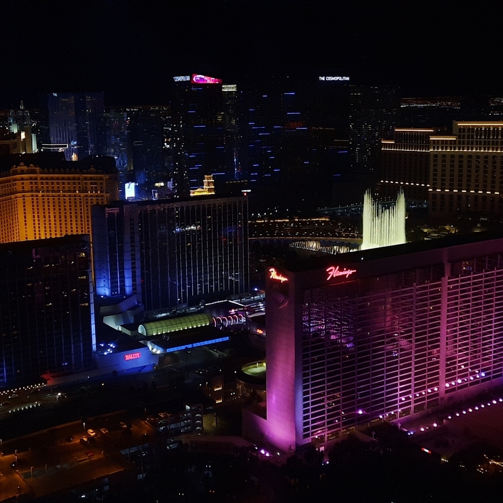 Meet your Posher, Lia